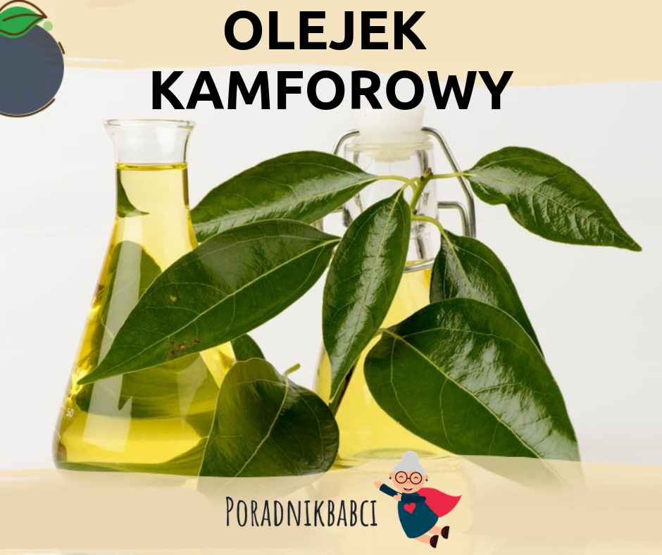 olej-kamforowy